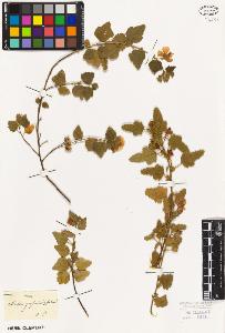 SW_BNB_s3010-08711_IMG-0000000001
