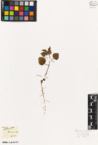 SW_BNB_s3010-08721_IMG-0000000001