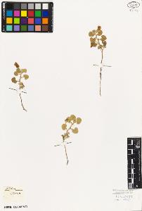 SW_BNB_s3010-08727_IMG-0000000001