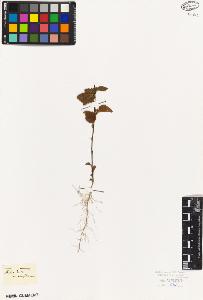SW_BNB_s3010-08730_IMG-0000000001