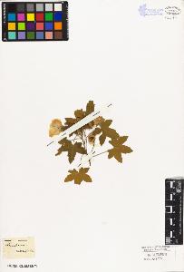 SW_BNB_s3010-08736_IMG-0000000001