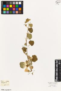 SW_BNB_s3010-08737_IMG-0000000001