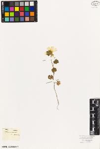 SW_BNB_s3010-08738_IMG-0000000001