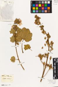 SW_BNB_s3010-08740_IMG-0000000001