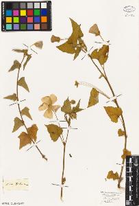 SW_BNB_s3010-08761_IMG-0000000001