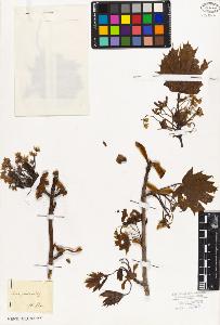SW_BNB_s3010-08763_IMG-0000000001