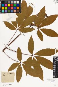 SW_BNB_s3010-08770_IMG-0000000001