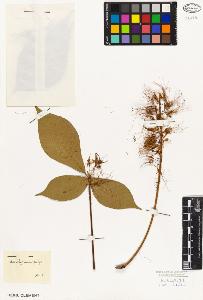 SW_BNB_s3010-08771_IMG-0000000001