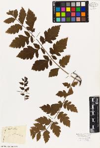 SW_BNB_s3010-08777_IMG-0000000001