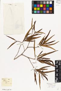 SW_BNB_s3010-08780_IMG-0000000001