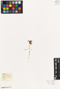 SW_BNB_s3010-08783_IMG-0000000001