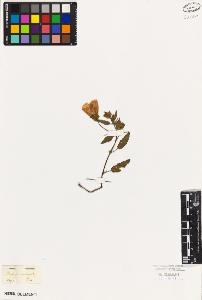 SW_BNB_s3010-08785_IMG-0000000001