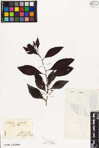 SW_BNB_s3010-08792_IMG-0000000001