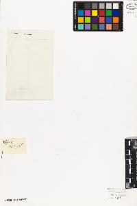SW_BNB_s3010-08795_IMG-0000000001