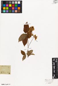 SW_BNB_s3010-08801_IMG-0000000001
