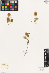 SW_BNB_s3010-08804_IMG-0000000001
