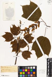 SW_BNB_s3010-08806_IMG-0000000001
