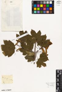 SW_BNB_s3010-08810_IMG-0000000001