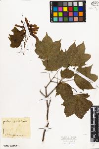 SW_BNB_s3010-08814_IMG-0000000001