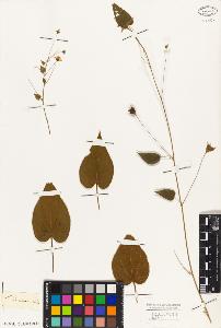 SW_BNB_s3010-08819_IMG-0000000001