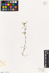 SW_BNB_s3010-08820_IMG-0000000001