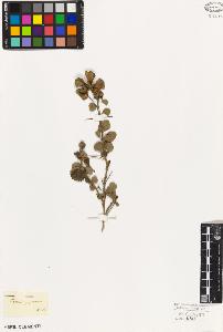 SW_BNB_s3010-08830_IMG-0000000001