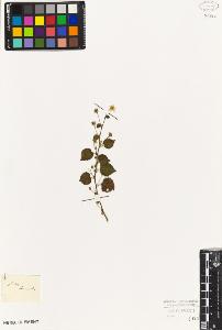 SW_BNB_s3010-08833_IMG-0000000001