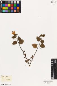 SW_BNB_s3010-08836_IMG-0000000001