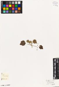 SW_BNB_s3010-08852_IMG-0000000001