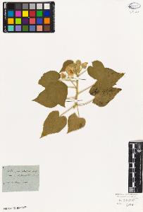 SW_BNB_s3010-08854_IMG-0000000001