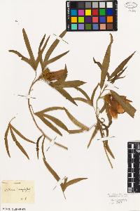 SW_BNB_s3010-08862_IMG-0000000001