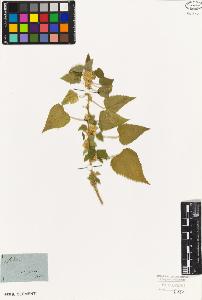 SW_BNB_s3010-08866_IMG-0000000001
