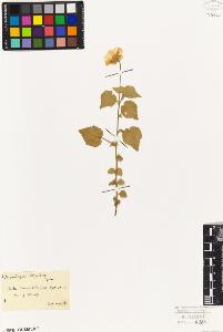 SW_BNB_s3010-08869_IMG-0000000001