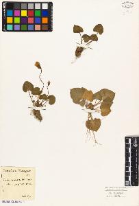 SW_BNB_s3010-08879_IMG-0000000001