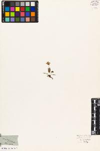 SW_BNB_s3010-08880_IMG-0000000001