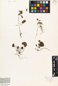 SW_BNB_s3010-08881_IMG-0000000001