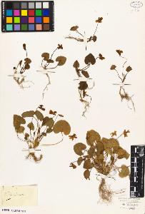 SW_BNB_s3010-08894_IMG-0000000001