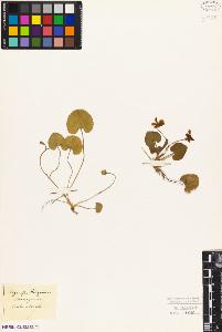 SW_BNB_s3010-08895_IMG-0000000001