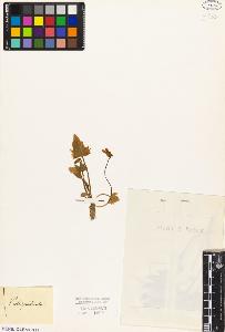 SW_BNB_s3010-08897_IMG-0000000001