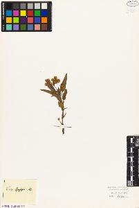SW_BNB_s3010-08900_IMG-0000000001