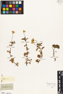 SW_BNB_s3010-08902_IMG-0000000001