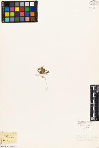 SW_BNB_s3010-08903_IMG-0000000001