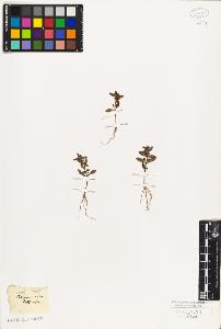 SW_BNB_s3010-08905_IMG-0000000001