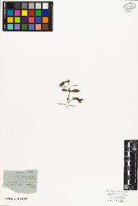 SW_BNB_s3010-08908_IMG-0000000001