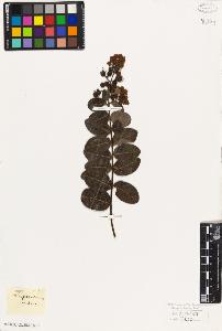 SW_BNB_s3010-08918_IMG-0000000001