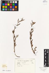 SW_BNB_s3010-08919_IMG-0000000001