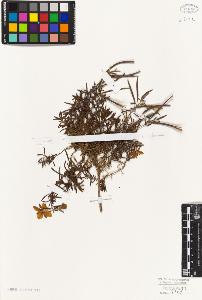 SW_BNB_s3010-08923_IMG-0000000001