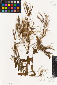 SW_BNB_s3010-08924_IMG-0000000001