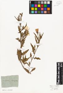 SW_BNB_s3010-08929_IMG-0000000001