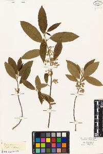 SW_BNB_s3010-08936_IMG-0000000001